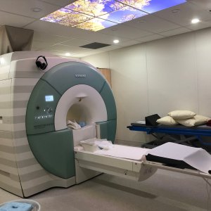 Siemens MAGNETOM Essenza 1.5T EX3366