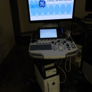 GE Logiq S8 with XD Clear