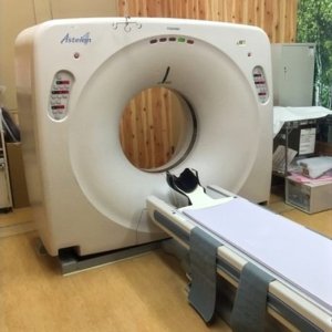 Toshiba Asteion S4 -NEX111