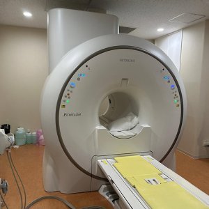 Hitachi Echelon RX 1.5T