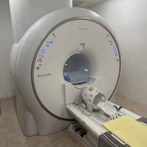 Hitachi Echelon RX 1.5T