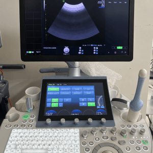GE Voluson E10 Ultrasound